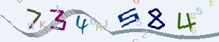 Captcha Code